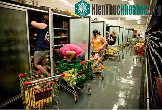 Những bức ảnh đẹp nhất về môi trường 2010 ảnh 4