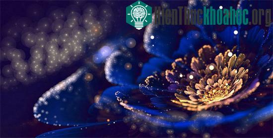 Fractal ban đầu được nghiên cứu như một vật thể toán học. Hình học phân dạng là ngành toán học chuyên nghiên cứu các tính chất của&nbsp;phân&nbsp;dạng; những tính chất không dễ gì giải thích được b...