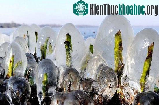 Cảnh sắc nước Nga đẹp một cách kỳ vĩ trong cái lạnh của mùa đông tuyết giá.