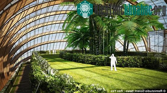 Ánh sáng ban ngày được lọc thông qua các khung kính, lọt vào khu vực nội thất nhằm làm giảm nhu cầu chiếu sáng bằng năng lượng nhân tạo.