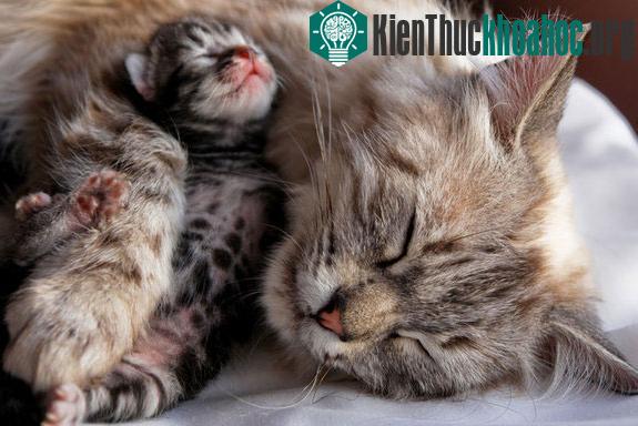 Bình minh tuyệt đẹp ở Nam Cực ảnh 4