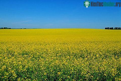 Cảnh thiên nhiên đẹp tại Australia ảnh 5