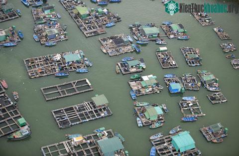 Những vẻ đẹp chỉ có thể cảm nhận từ trên cao ảnh 5