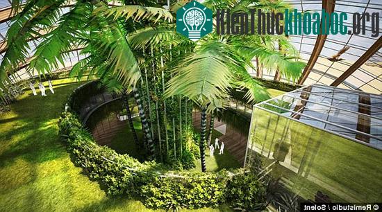 Môi trường nhà kính với cây xanh nhằm cung cấp nguồn thực phẩm và điều tiết không khí.