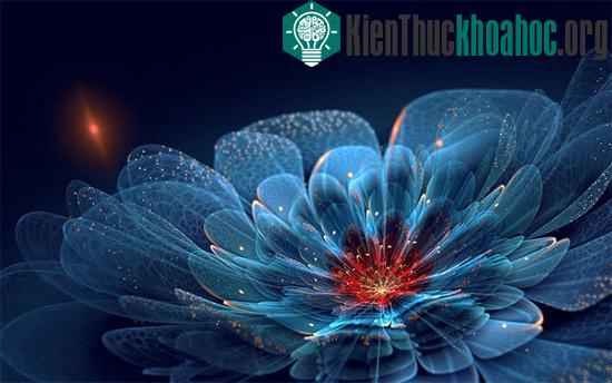 Những tuyệt tác hoa này là ứng dụng của Fractal trong khoa học máy tính.