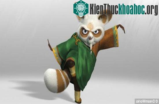 Loài gấu này đã được lấy làm hình mẫu cho nhân vật Thầy Shifu trong bộ phim hoạt hình nổi tiếng Kungfu Panda.