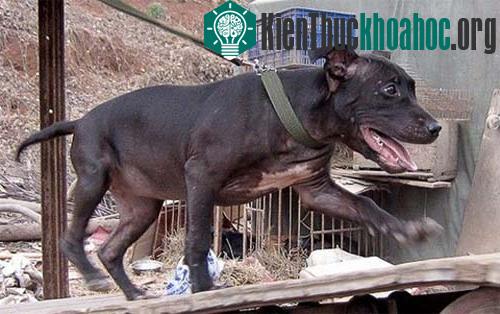 Ấn tượng trong tuần ảnh 6