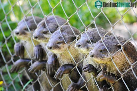 Ảnh đẹp động vật tuần qua ảnh 7