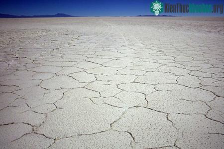 Cánh đồng muối lớn nhất thế giới trên cao 4.000m ảnh 7