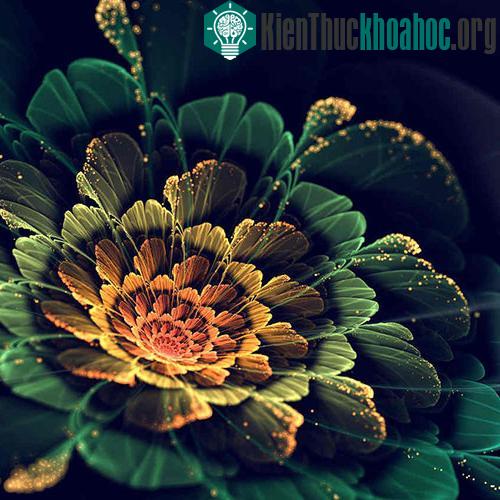 Hình học Fractal có thể giúp thiết kế các hình ảnh đẹp trên máy tính một cách đơn giản và trực quan.