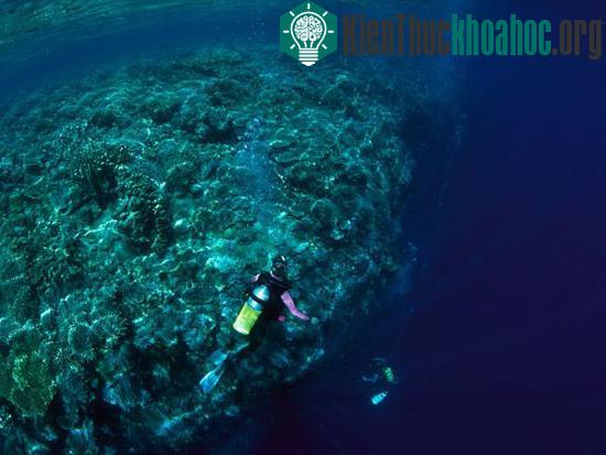 Vẻ đẹp kỳ bí của Indonesia ảnh 8