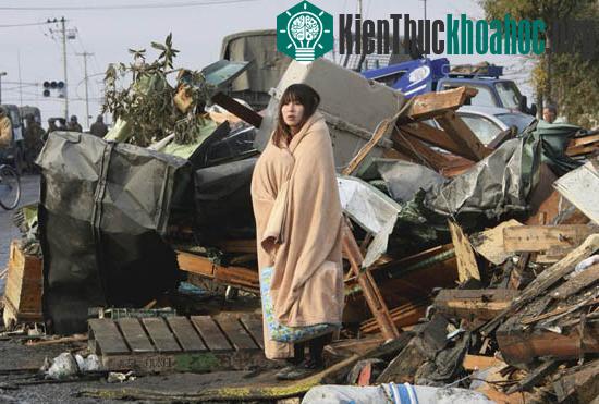 Toàn cảnh về thảm họa tại Nhật ảnh 8