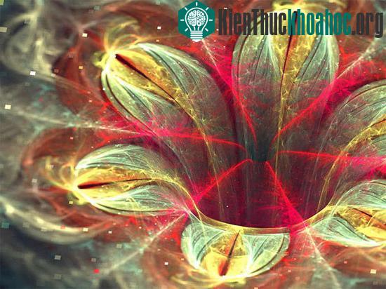Ngày nay, các nghiên cứu, ứng dụng thực tế liên quan đến Fractal đang ngày càng tăng như những bông hoa bừng nở khi mùa xuân đến.