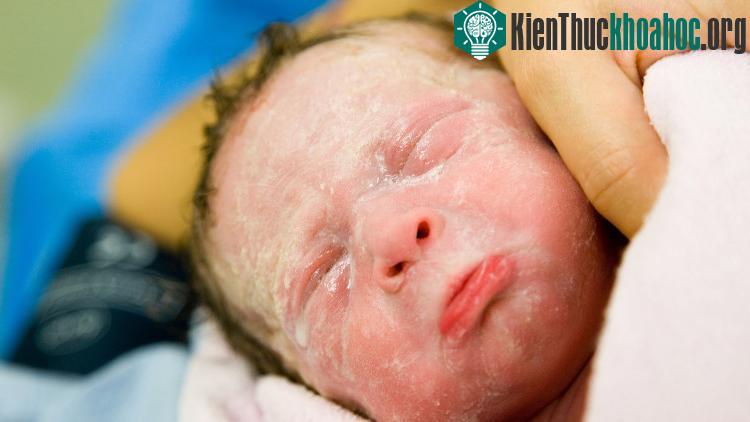 60 giây đầu tiên của cuộc đời, bạn sẽ trông như này.