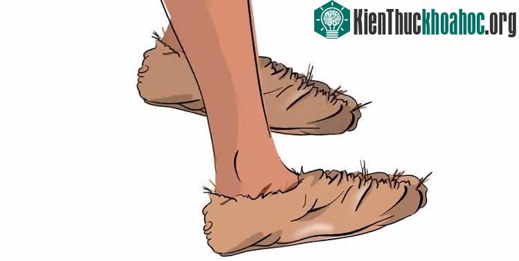 Giày truyền thống thường được làm từ da, gỗ, vải, nhưng giày hiện đại chủ yếu làm từ cao su, nhựa.