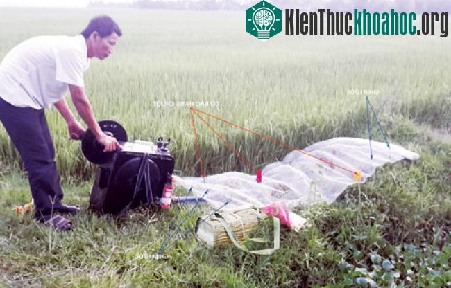 Chiếc máy này có thể bắt tới 10kg trong 1 giờ.