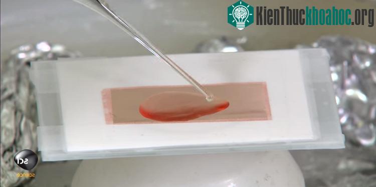Đặc tính "tàng hình" của graphene có được nhờ sự trợ giúp của các vật liệu khác.