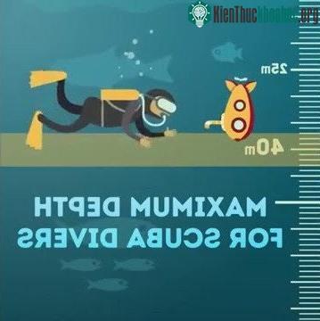 Đại dương chiếm khoảng 2/3 diện tích bề mặt Trái Đất.