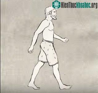 Hình ảnh sinh động, rõ nét về quá trình tiến hóa của loài người. (Ảnh chụp từ video).