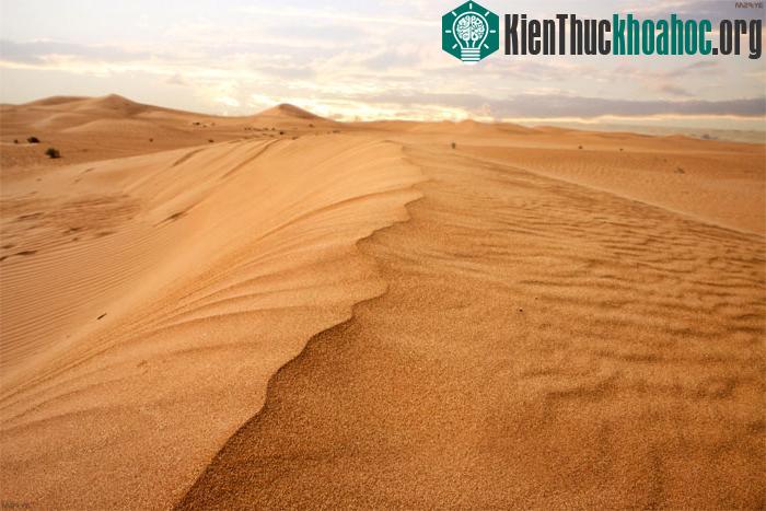 Sa mạc Saudi Arabia.