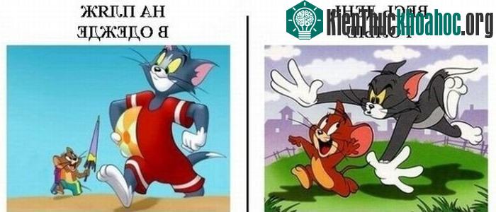 Đây là hai nhân vật duy nhất trên thế giới chỉ mặc quần áo mỗi khi đi tắm biển.
