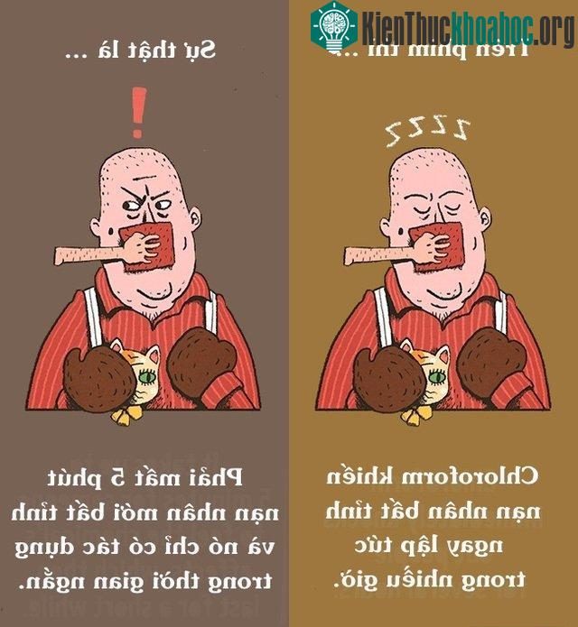 12 điều phóng đại trên phim mà ai cũng tin “sái cổ” ảnh 0