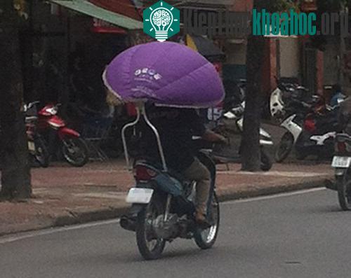 Những kiểu tránh nóng có 1-0-2 trên thế giới
