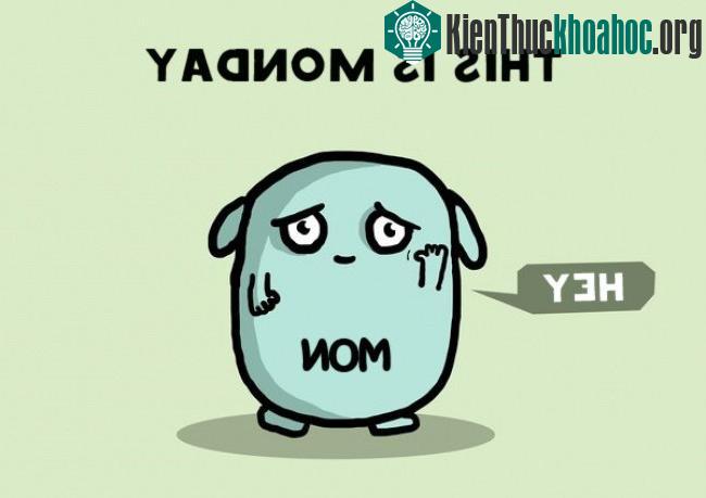 Chào ngày thứ hai với nỗi buồn khó tả