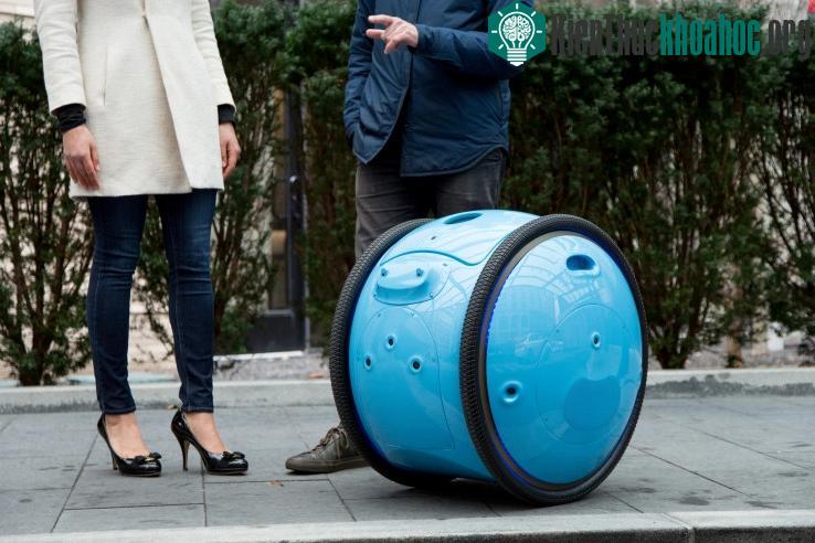 Robot khuân vác Gita.
