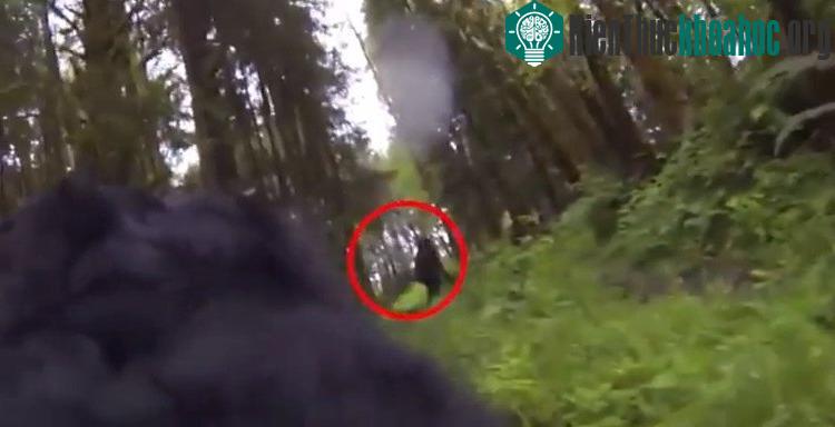 Sinh vật bí ẩn được cho là Bigfoot. (Ảnh chụp từ clip).