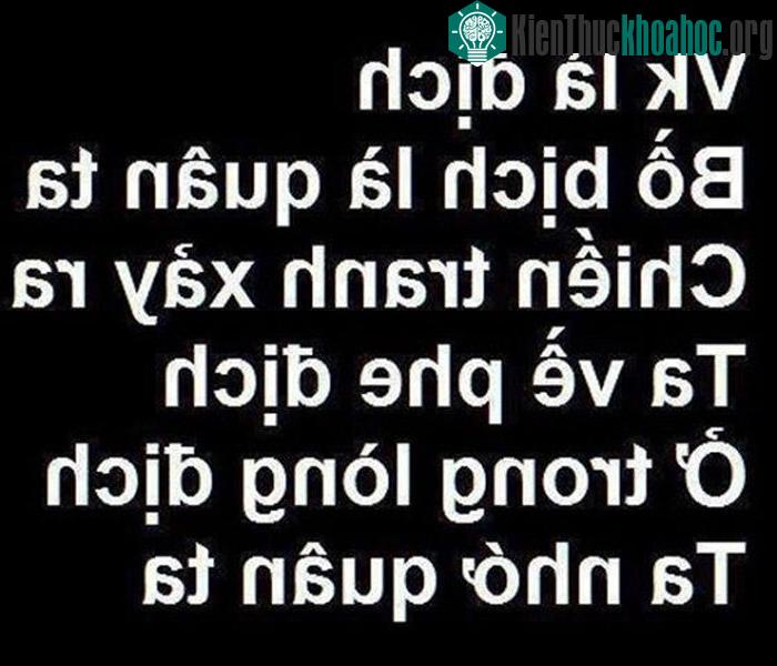 Vợ là gì?
