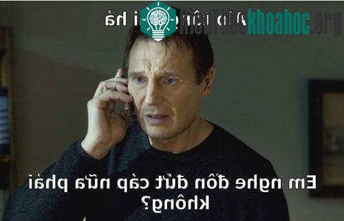 Ảnh chế cáp quang bị "cá mập tấn công" lần thứ ba