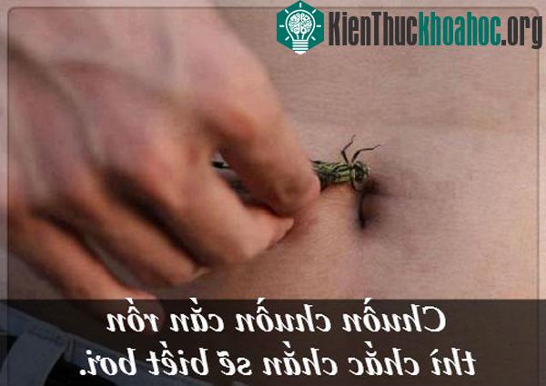 Phương pháp học bơi 'bá đạo' của trẻ con Việt Nam ngày xưa.