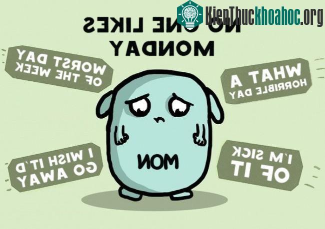 Không một ai thích ngày thứ hai cả