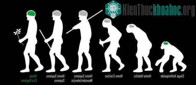 Học thuyết tiến hoá của con người tiến đến hình thái Homo Eco Sapiens - "Người kinh tế"