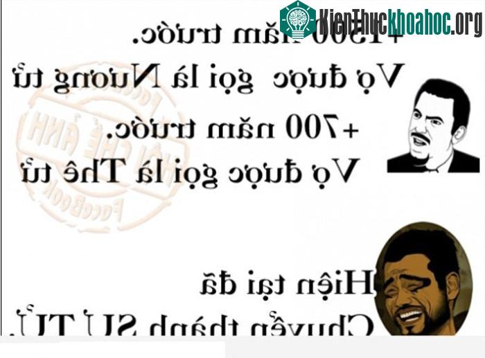 Chết cười với những định nghĩa 'khó đỡ' nhất về VỢ ảnh 2