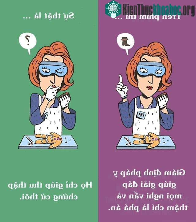 12 điều phóng đại trên phim mà ai cũng tin “sái cổ” ảnh 2