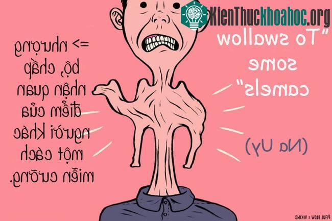 Nếu muốn nói về sự nhân nhượng, chấp nhận quan điểm của người khác một cách miễn cưỡng thì người Na Uy sẽ dùng cụm từ "nuốt vài con lạc đà".