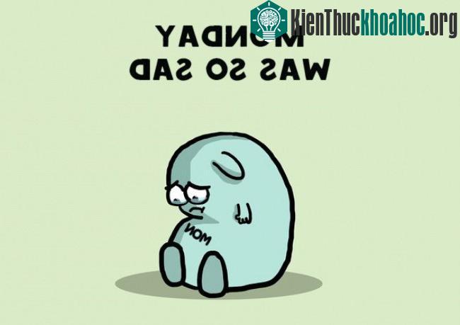 Ngày thứ hai quá buồn