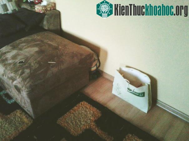 Phía sau những chiếc ghế cũng là kiểu trốn rất phổ biến của bé