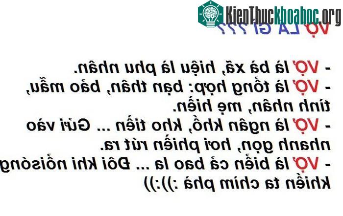 Chết cười với những định nghĩa 'khó đỡ' nhất về VỢ ảnh 3