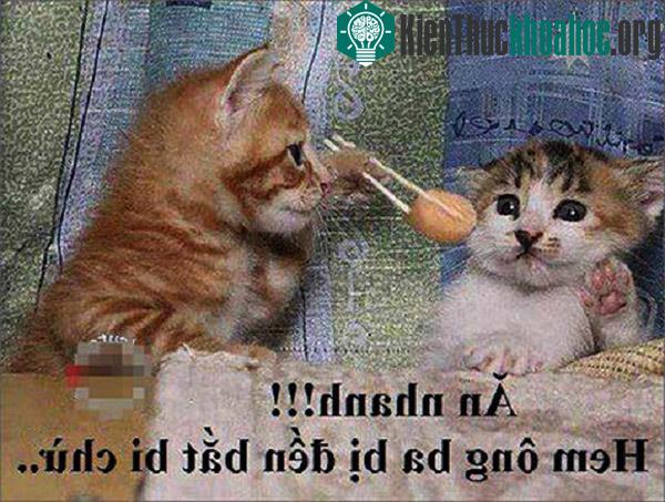Nỗi ám ảnh mỗi khi đêm về mà không có người lớn đi cùng.