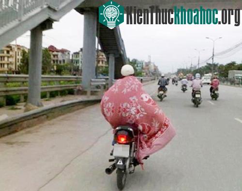 Những kiểu tránh nóng có 1-0-2 trên thế giới