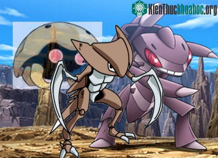 Pokemon biến hình