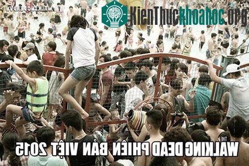 Hài hước ảnh chế trèo rào công viên nước tắm miễn phí