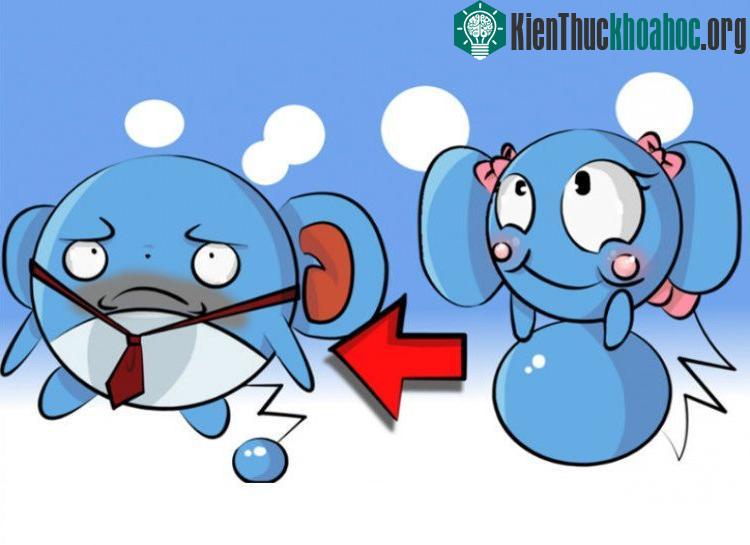 Pokemon có thể chuyển đổi giới tính