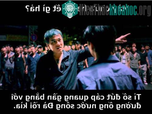 Ảnh chế cáp quang bị "cá mập tấn công" lần thứ ba