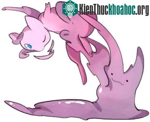 Pokemon Ditto là sản phẩm thất bại
