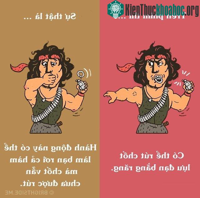 12 điều phóng đại trên phim mà ai cũng tin “sái cổ” ảnh 9