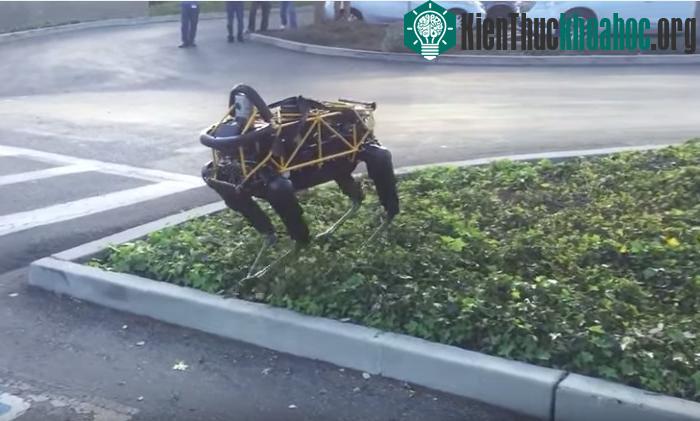 Chó nhà ghét chó robot hơn bạn tưởng đấy.